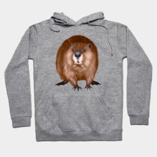 Cute Beaver Drawing Hoodie